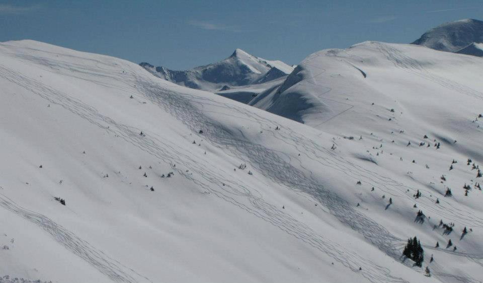 Landgut Hotel Plannerhof Planneralm Εξωτερικό φωτογραφία