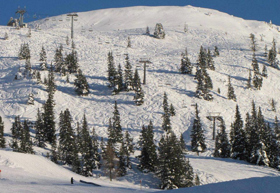 Landgut Hotel Plannerhof Planneralm Εξωτερικό φωτογραφία